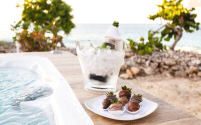 Sample Anguilla Itinerary for Sandcastle Villa & Beach House Guests