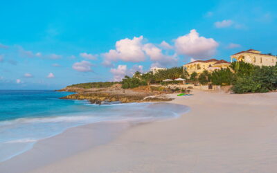 Discover Anguilla’s Rich Art and Antiques Scene